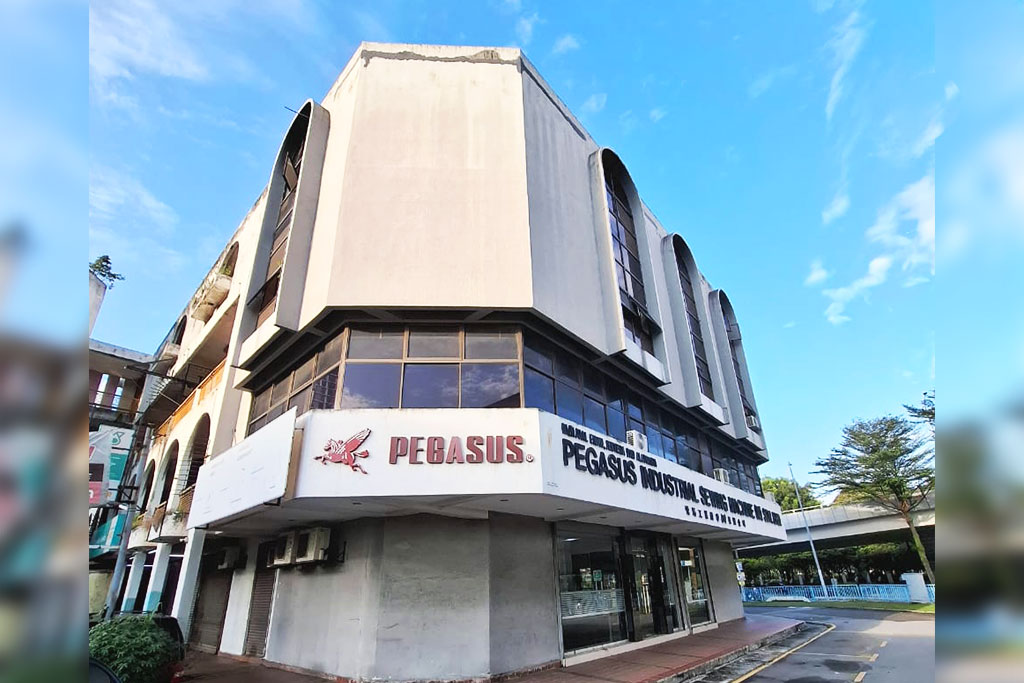 Pegasus Industrial Sewing Machine